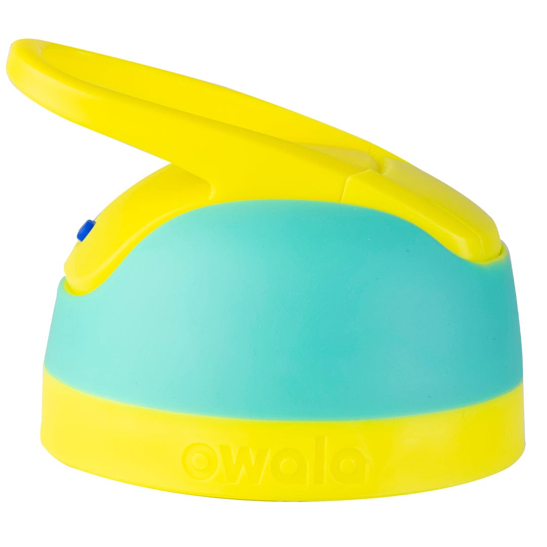 Replacement Lids - 11JI