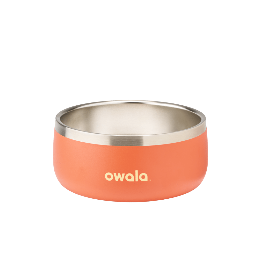 Pet Bowl - Z9BL