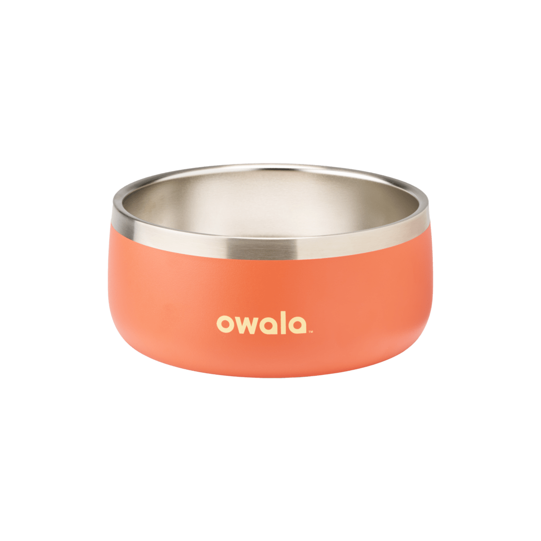 Pet Bowl - Z9BL