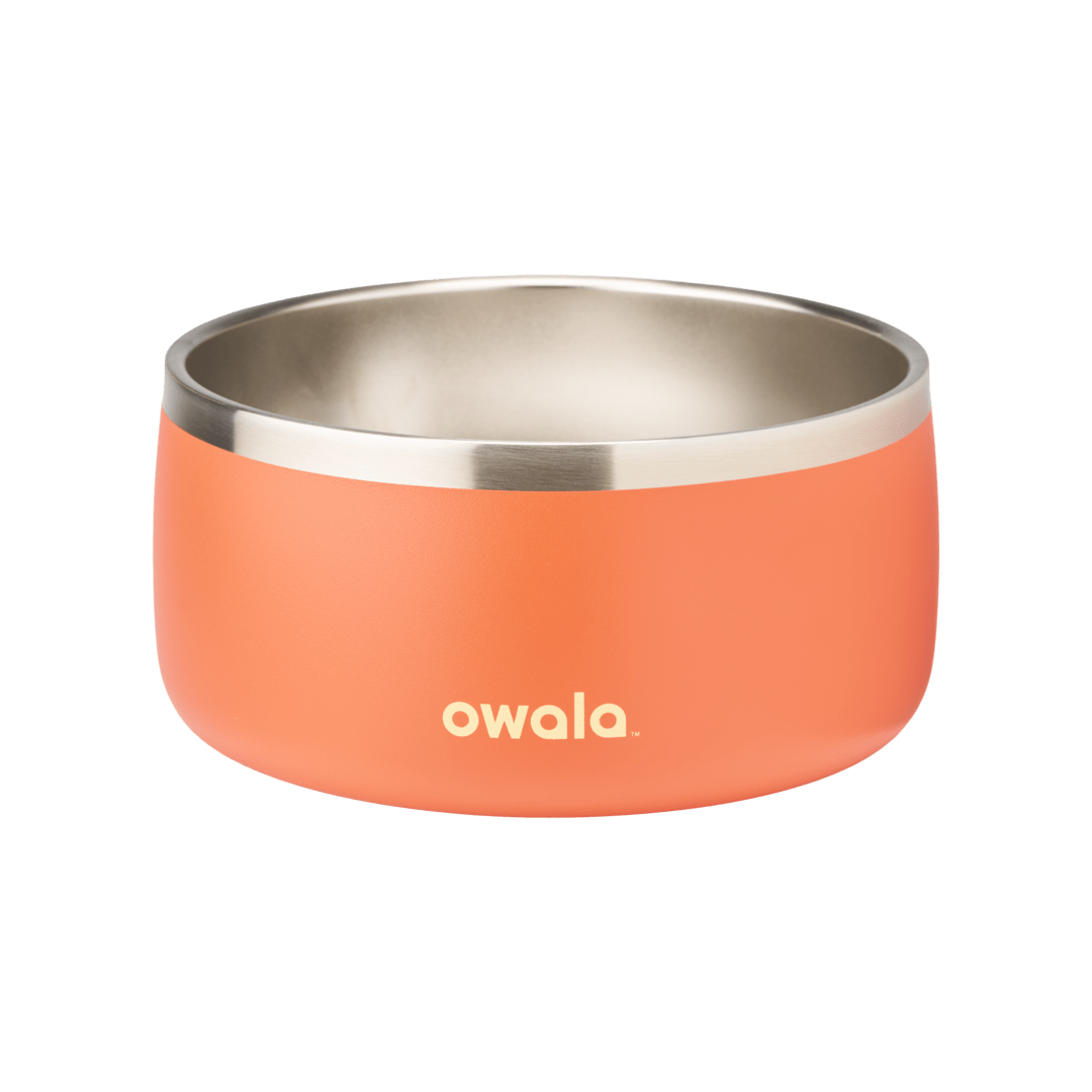 Pet Bowl - Z9BL