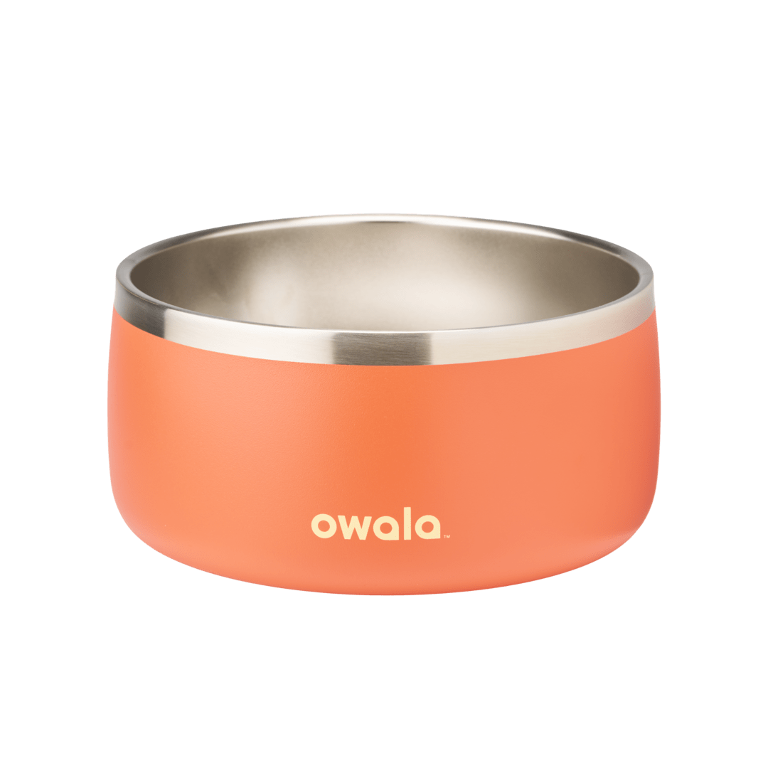Pet Bowl - Z9BL