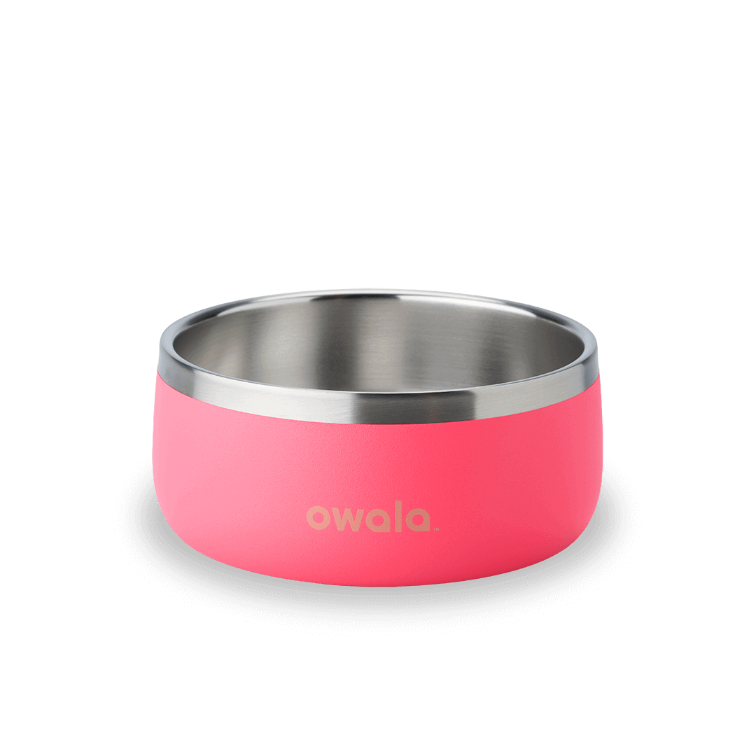 Pet Bowl - Z9BL
