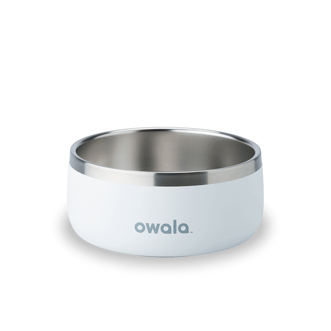 Pet Bowl - Z9BL
