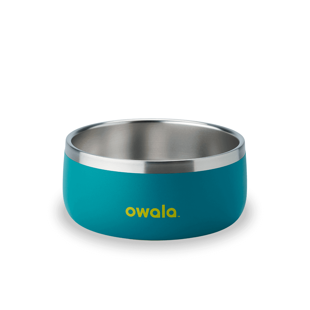Pet Bowl - Z9BL