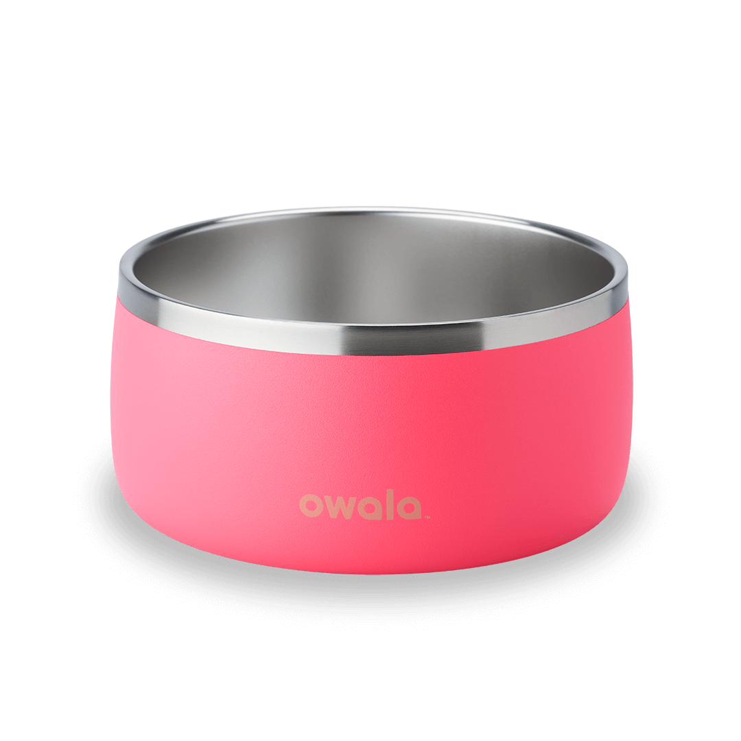 Pet Bowl - Z9BL